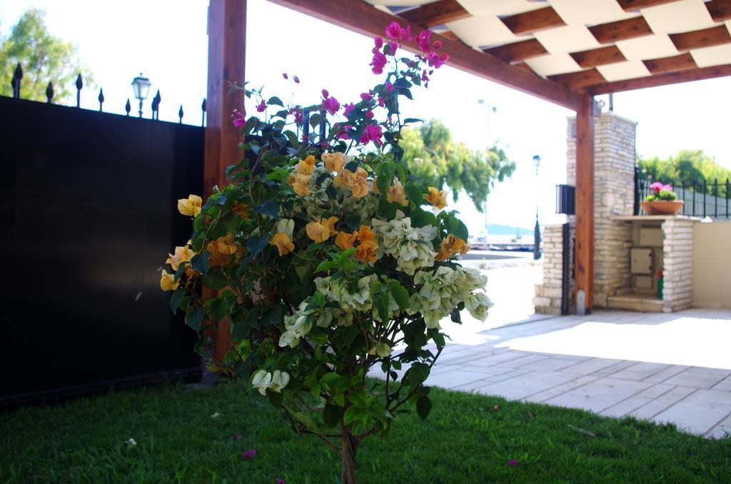 Amaryllis Holiday Home Agios Spyridon  Kültér fotó
